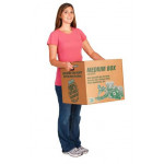 Medium Box